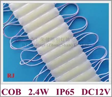 LED light module injection COB with lens ultrasonic sealling DC12V 2.4W 240lm 75mmX16mm*8mm IP65 super quality 3 year warranty