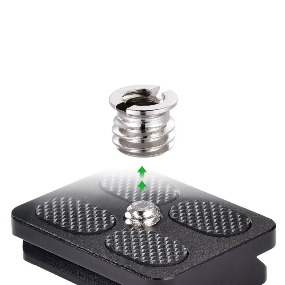 HTB1PWHzSFXXXXafXVXXq6xXFXXXz