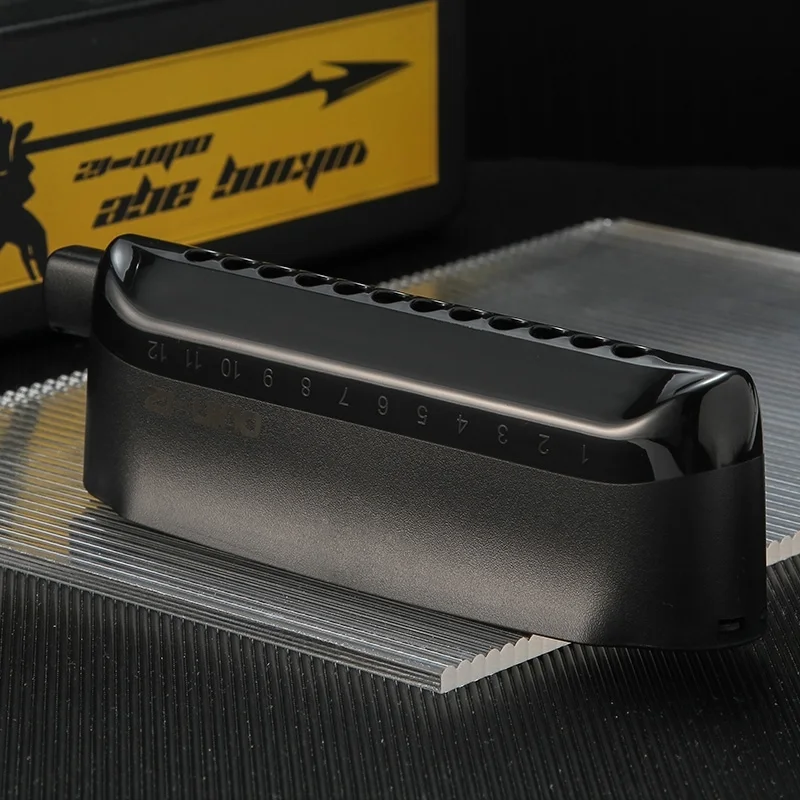 Professional Playing12 Hole 48 Tone Chromatic Harmonica Odin-12 Best Choose For Beginner Better Than CX12 Mouth Organ