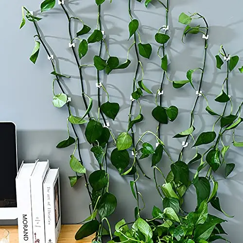 Plant Climbing Self-Adhesive Wall H95b1c69c3aed4004bed66aad4fc1e4b5E