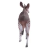 Realistic Okapi Wildlife Animal Figurine Model Action Figure Kids Toy Gift 4
