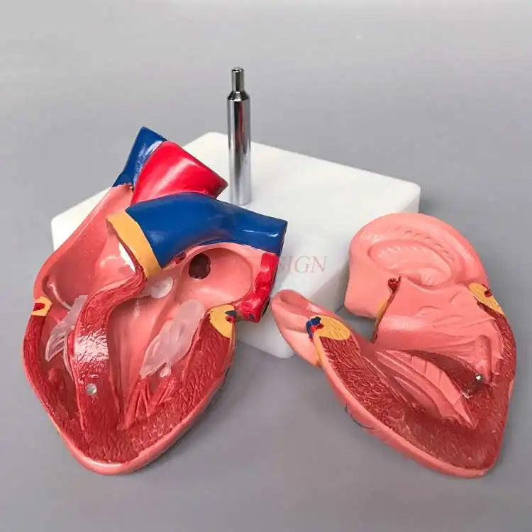 TB2oDgppCJjpuFjy0FdXXXmoFXa_!!342099825