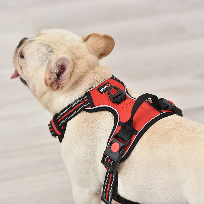 Hf8f2903c42f141969c79faad5b7d96d5m