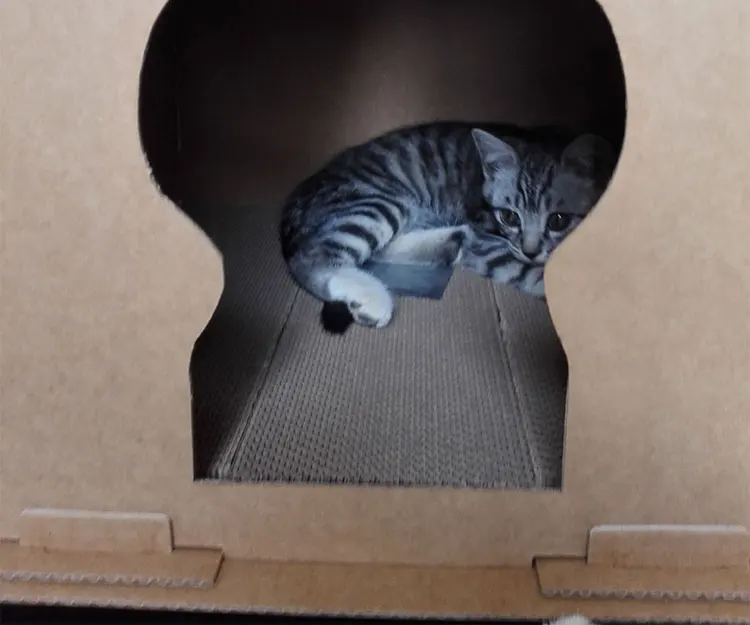 TB2XUN1sVXXXXaxXXXXXXXXXXXX_!!47657317