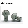 kiwi stone