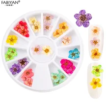 12 цветов Сушеные сухие 3D цветочные лепестки наклейки колеса дизайн ногтей украшения акриловый гель УФ маникюр DIY салон наклейка натуральный