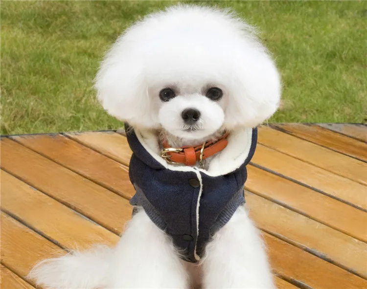 3502697627_1943486756