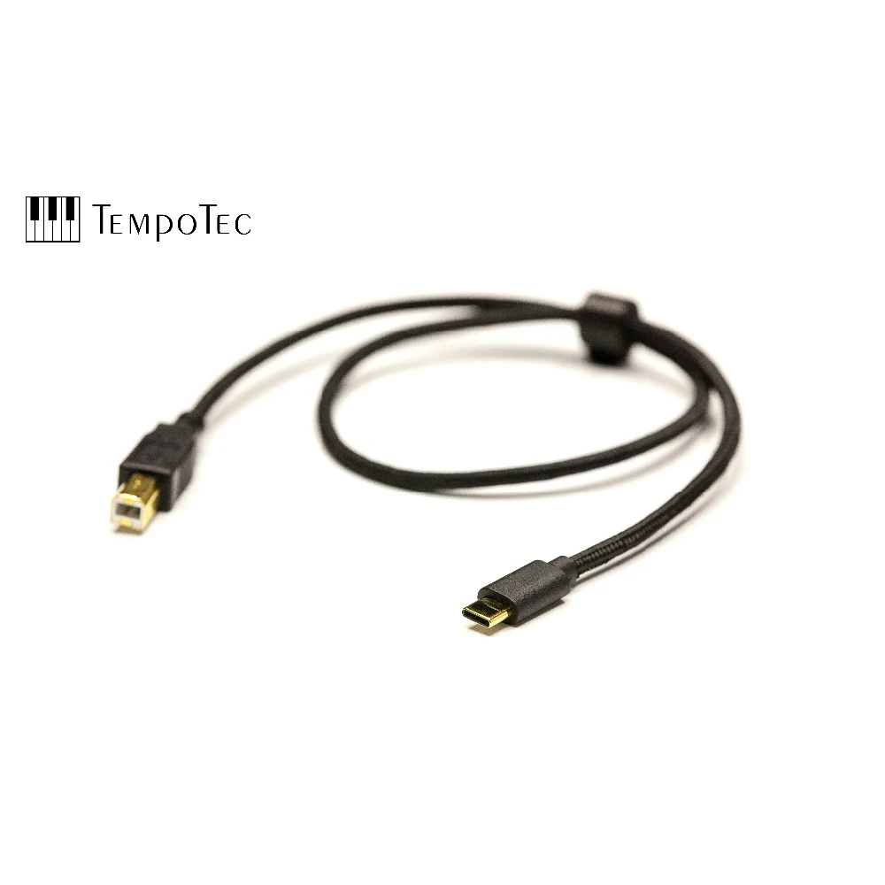 V1+ OTG кабель MP3-плееры TempoTec вариации Hifi Цифровой без аналога, поддержка bluetooth LDAC IN& OUT для USB DAC& amp; усилитель