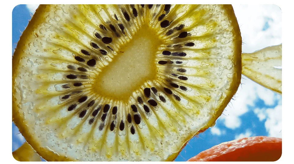 Original Global Version Redmi 9 4GB 64GB Smartphone 6.53” FHD+ Dot Drop Display Helio G80 Octa core 5020mAh Quick Charge Face