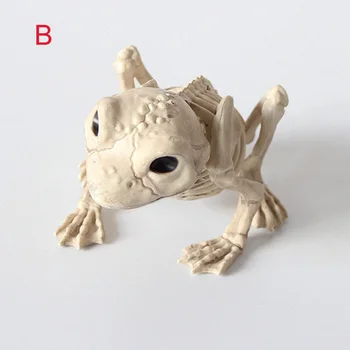 

Animal Skeleton Model Bat/Frog/Lizard Bones Halloween Party Decoration Modello di scheletro animale Dierlijk skeletmodel BDF99