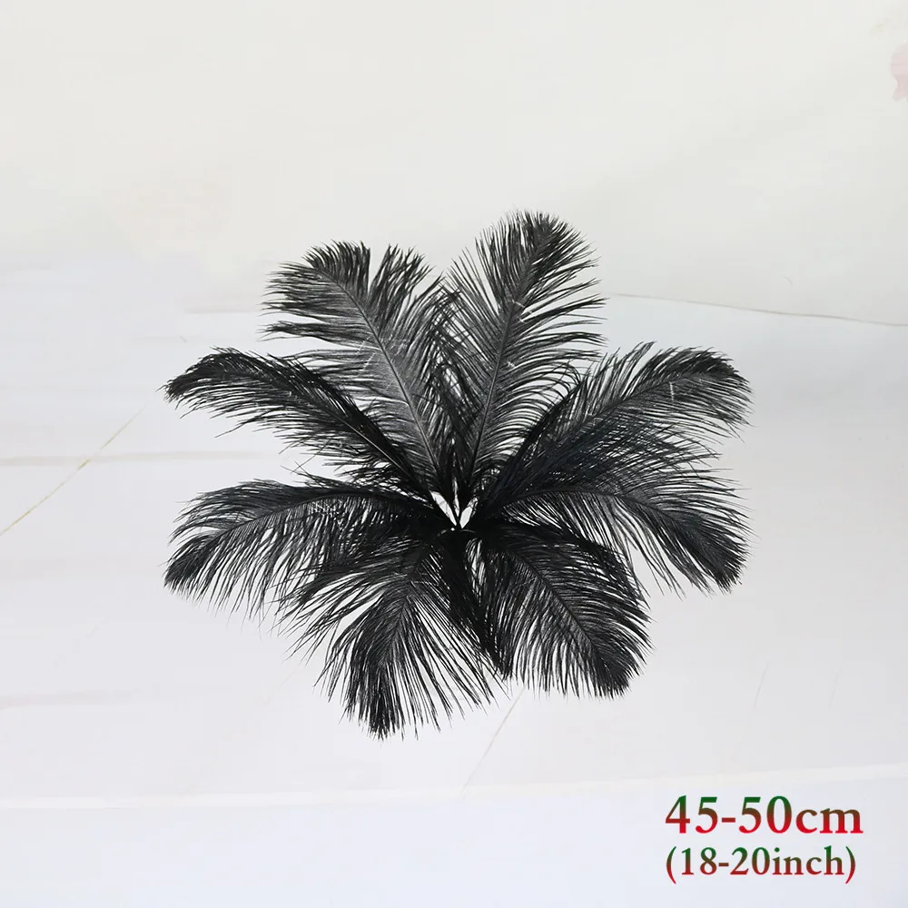 黑色 45-50cm 鸵鸟毛 2_副本