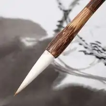 Каллиграфии живопись Kai начинающих студент щетка