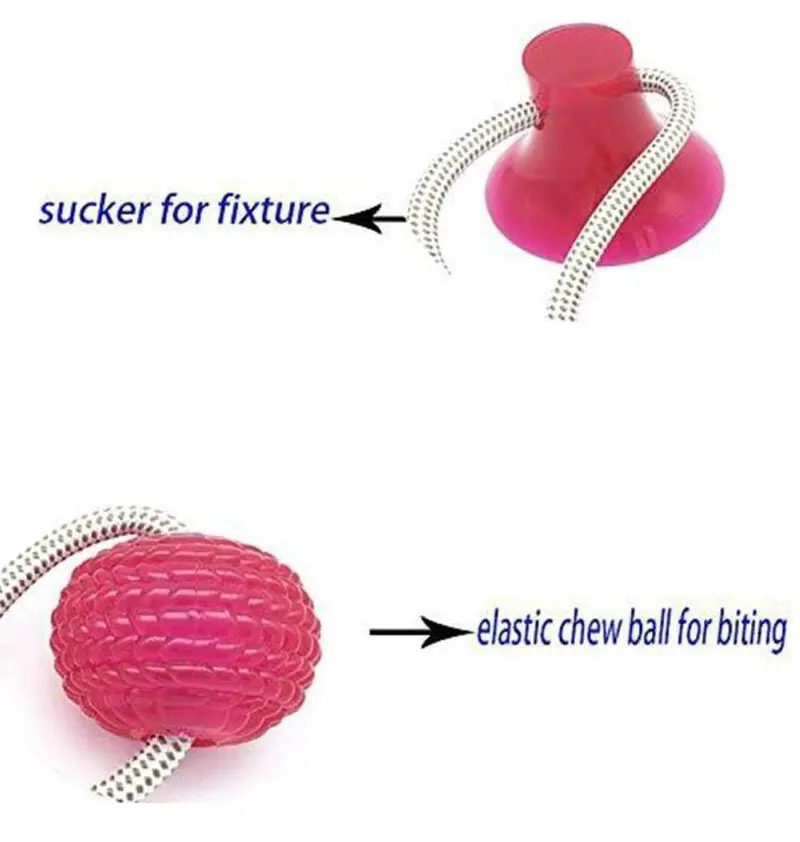 宠物用品_06