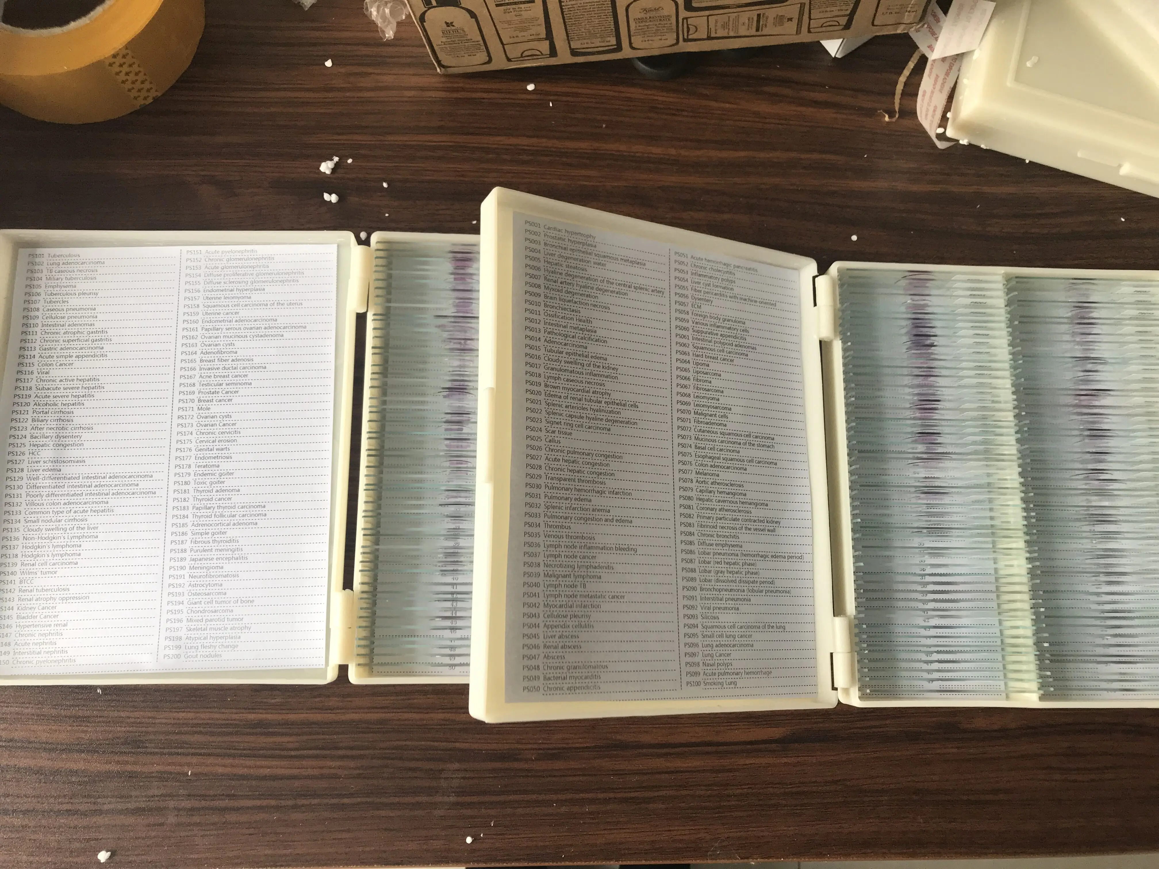 200 шт./компл. профессиональных медицинских студентов Применение патологии человека подготовлены шлепанцы без задника с открытыми пальцами