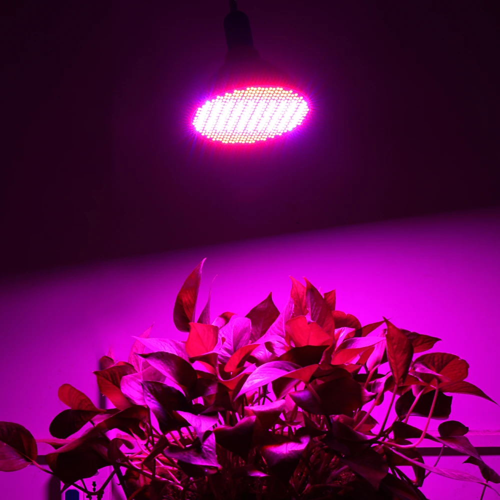 HTB1_czDo2uSBuNkHFqDq6xfhVXat