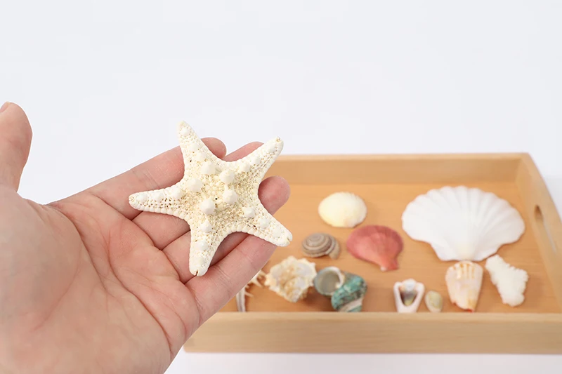 O1CN015coPfr1ByS6cvJpbo_!!36560014