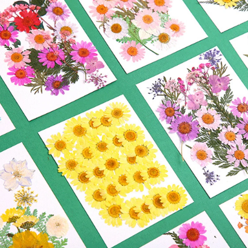 Высокое качество Популярные Лидер продаж мини Bloemen засушенные цветы небольшой "сделай сам" сохранить букет 25 шт./пакет прессованные цветы украшения дома