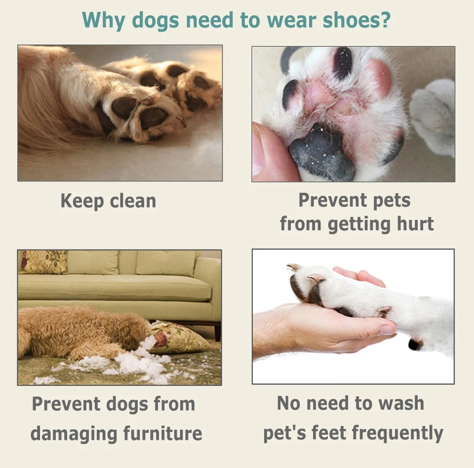 Outdoor Dog Shoes