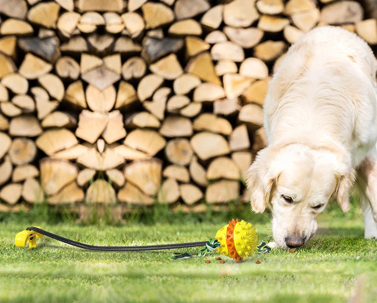 suction cup tug dog toy