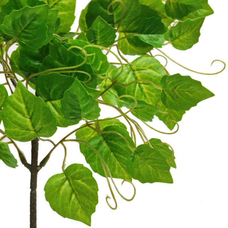 12034985242_1493019570