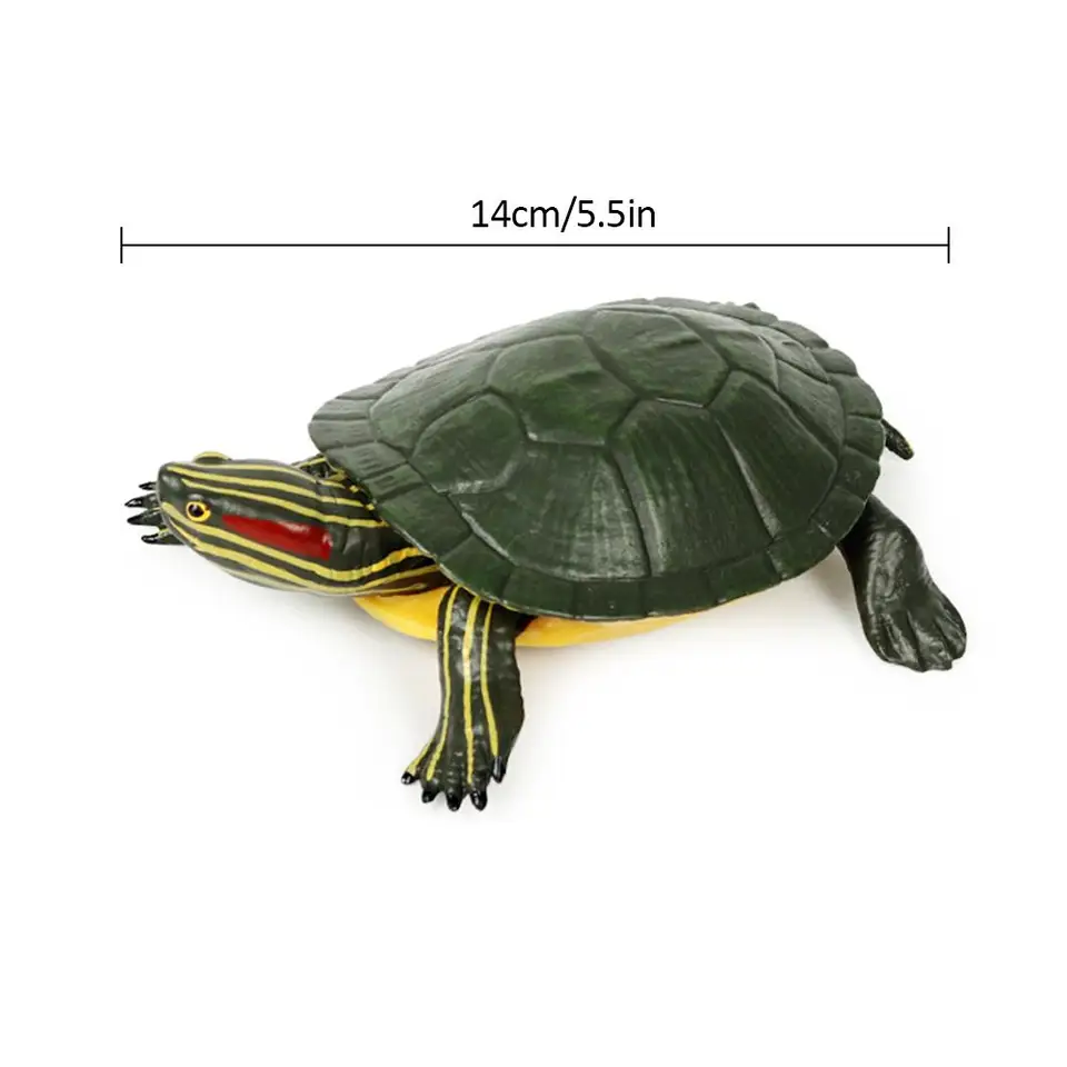Control Deslizante De Orejas Rojas De Tortuga Mascota  Trachemys Scripta Elegans Aislado Sobre Fondo Blanco 12679118