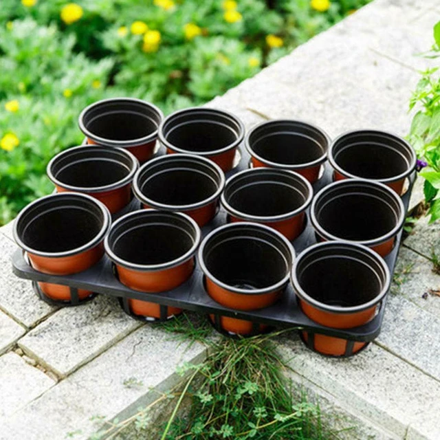Pot de fleurs succulentes carré en plastique, support de plantation, Pot de  fleurs avec plateau, Pots de pépinière en plastique pour plantes  succulentes - AliExpress