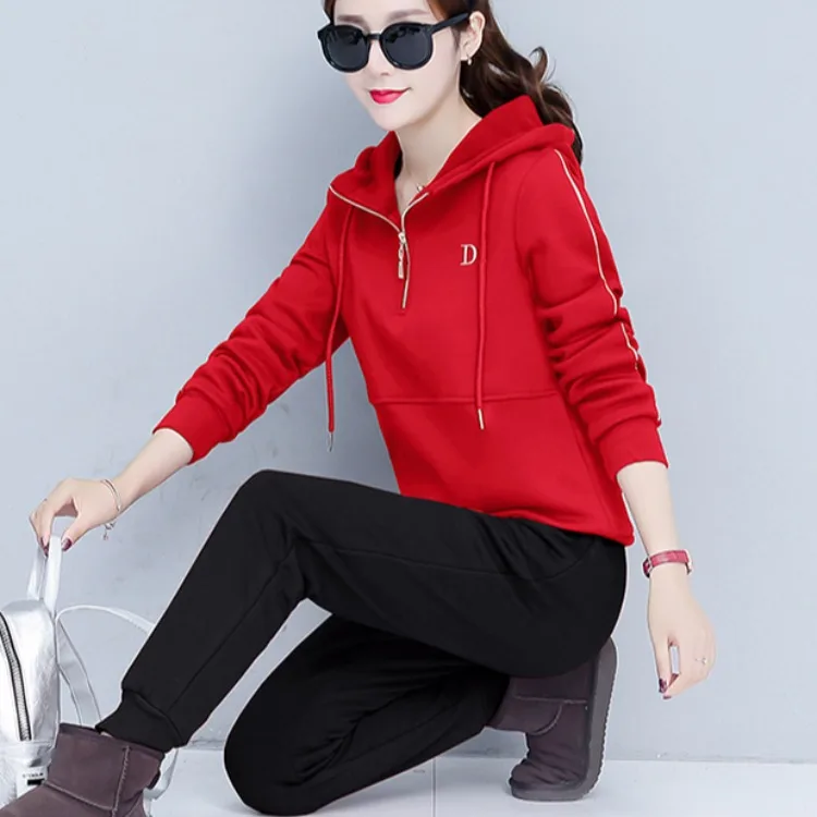 

warm tracksuit for women 2 piece sets 2019 pant suits and top hoodies plus size 3xl thicken outfits women clothing set