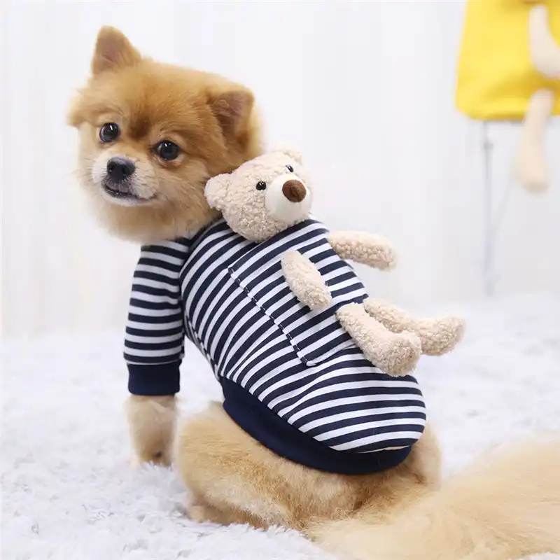 新犬服秋冬フリーステディベア犬のセーターパーカーシュナウザーポメラニアン猫ペット服 Dog Coats Jackets Aliexpress