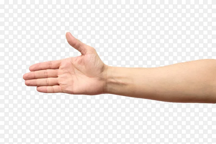 指引指路手臂示意图素材png图片素材免费下载 图片编号yojzevoq Pngbag素材网