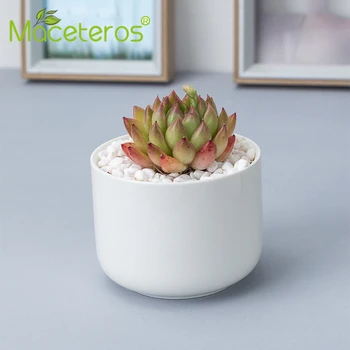 

New Creative Simple White Ceramic Succulent Flower Pot Round Feet Straight Green Plants Potted Green Planter Gardening Ornaments