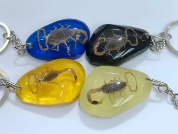 

10 pcs Scorpion Insect Mixed Fashion Color KeyChain Taxidermy Display