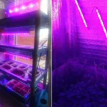 Светодиодный светильник премиум-класса с европейской вилкой для выращивания овощей, профессиональный цветочный светильник для выращивания растений, теплица, фиолетовый цвет, цветение сада, для помещений