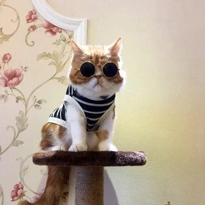 goldblack 1 шт новая мода Pet очки для собаки солнцезащитные очки Защита глаз аксессуары для домашних животных, собак крутые солнцезащитные очки 4,3 дюймов - Цвет: goldblack