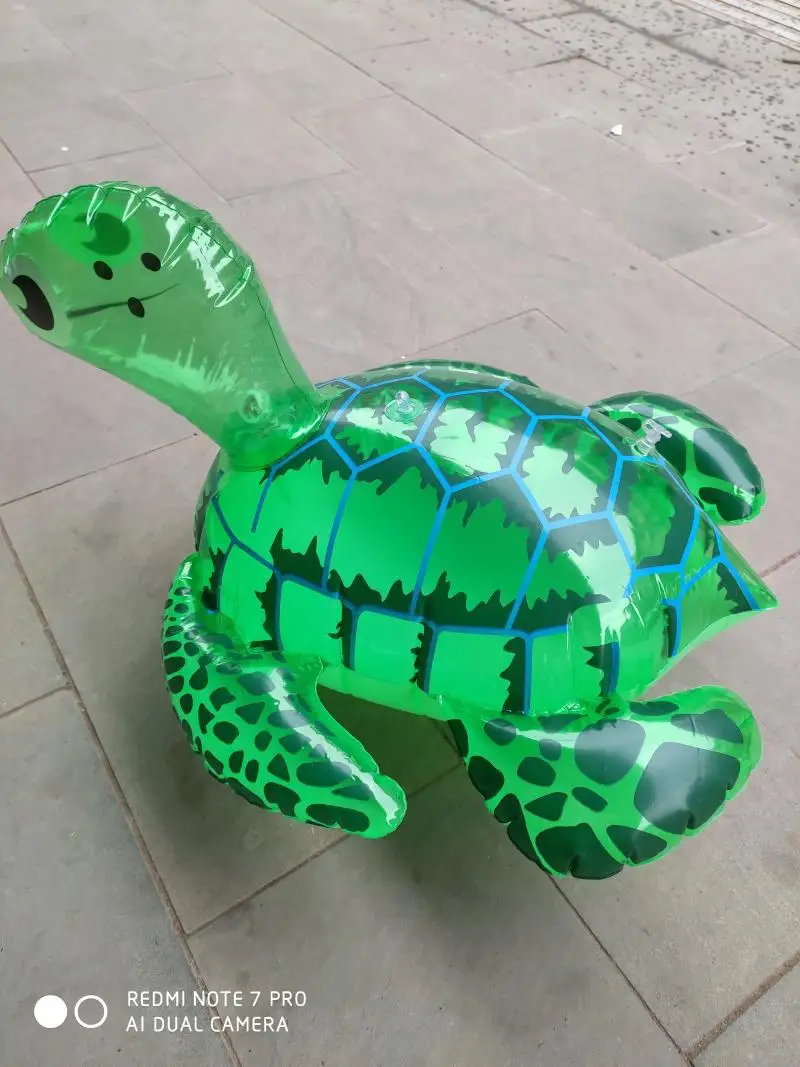

Shining Inflatable Frog Children Shining Frog Non-Animal Coccinella Septempunctata Stall Frog