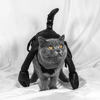 

Fun Cat Costume Scorpion Design Pet Halloween Cosplay , Party Costume For Small And Medium Dogs Cat Accessories
