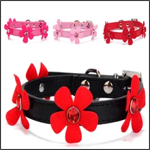 חיות מחמד צווארון עם חמוד שמש פרח צורת מתכוונן לחיות מחמד עור רצועת עמיד לחיות מחמד PU שרשרת עבור כלב חתול אספקת 1 מחשב(China)