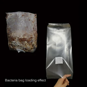 

Agriculture Gardening Supplies Mushroom Egg Growth Bag Mushroom Planting Bag Micro Filter Polypropylene Bag Matrix