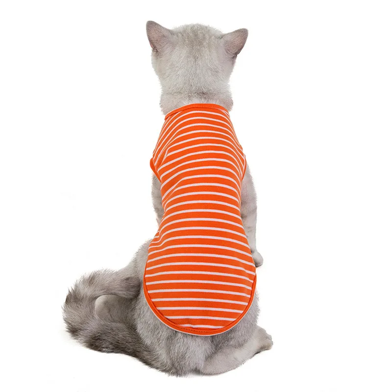 New Cat Clothes T-Shirt A Righe Per Cani Beauty Short Cat Clothes Pet Bottoming Shirt