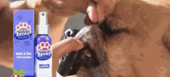 Hc92752056c0d4a71934483275cc8bb63F