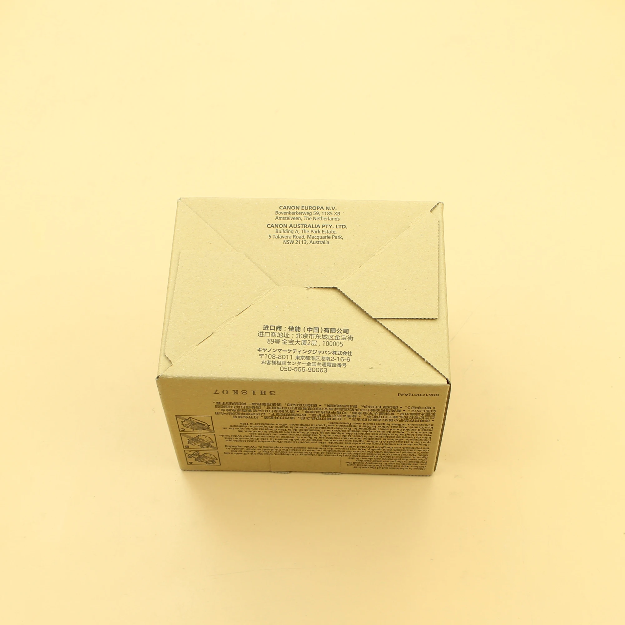 canon pro 2000 print head