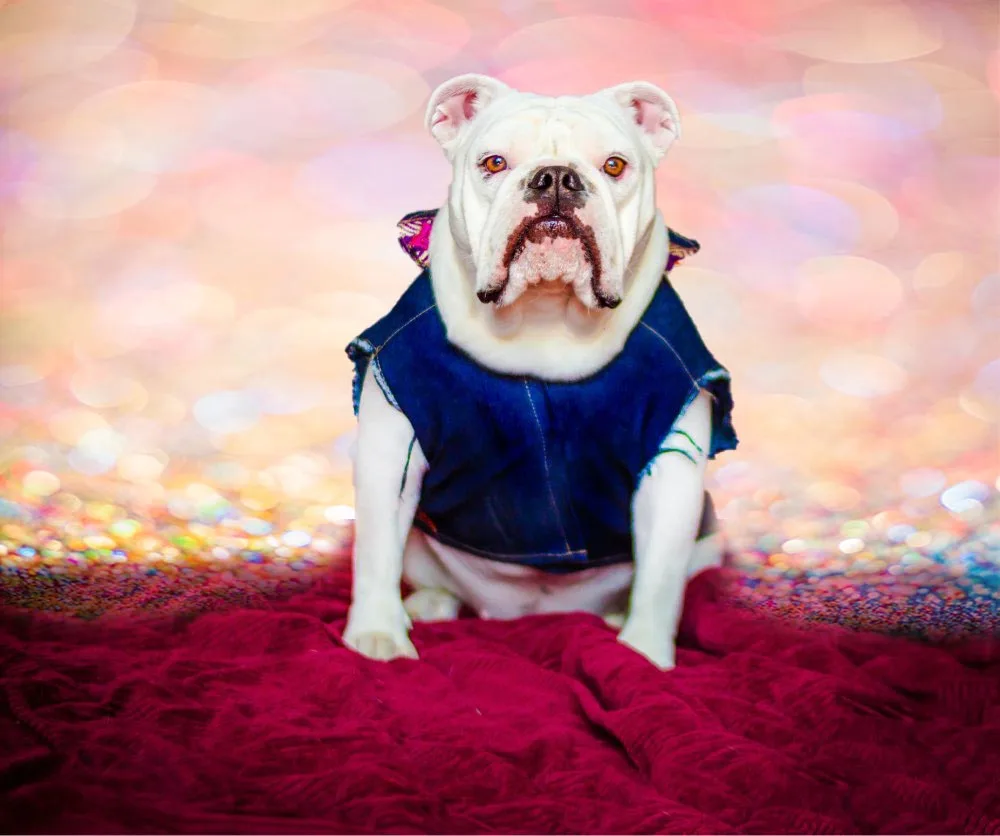 Mehofond Photography Background Shiny Polka Dot Light Bokeh Wedding Birthday Party Child Love Photocall Backdrop Photo Studio