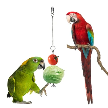 

Parrot Feeding Tools Chicken Veggies Skewer Fruit Holder for Hens Pet Chicken Vegetable Hanging Feeder Toy for Hens Large Birds