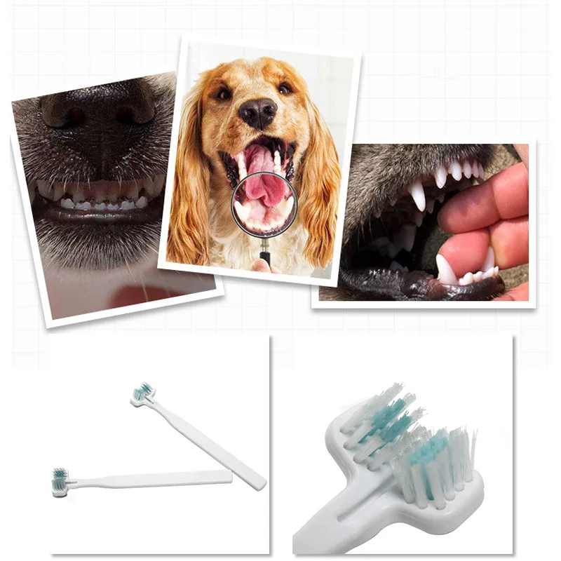 Double Heads Pet Toothbrush Soft Brushing Dogs Cats Teeth Cleaning Oral