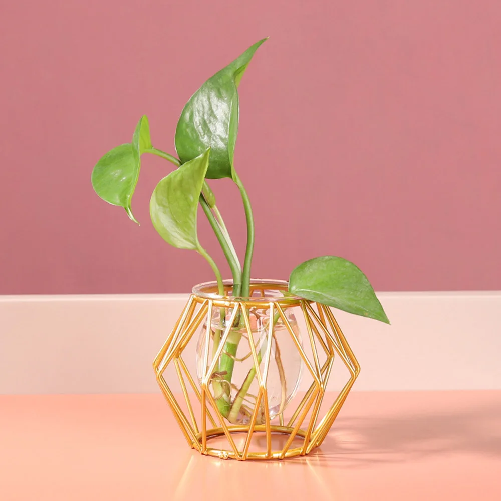 Nordic Golden Glass Vase Iron Hydroponic Plant Flower Vase Tabletop Coffee Shop Office Home Decoration Accessories Modern 5