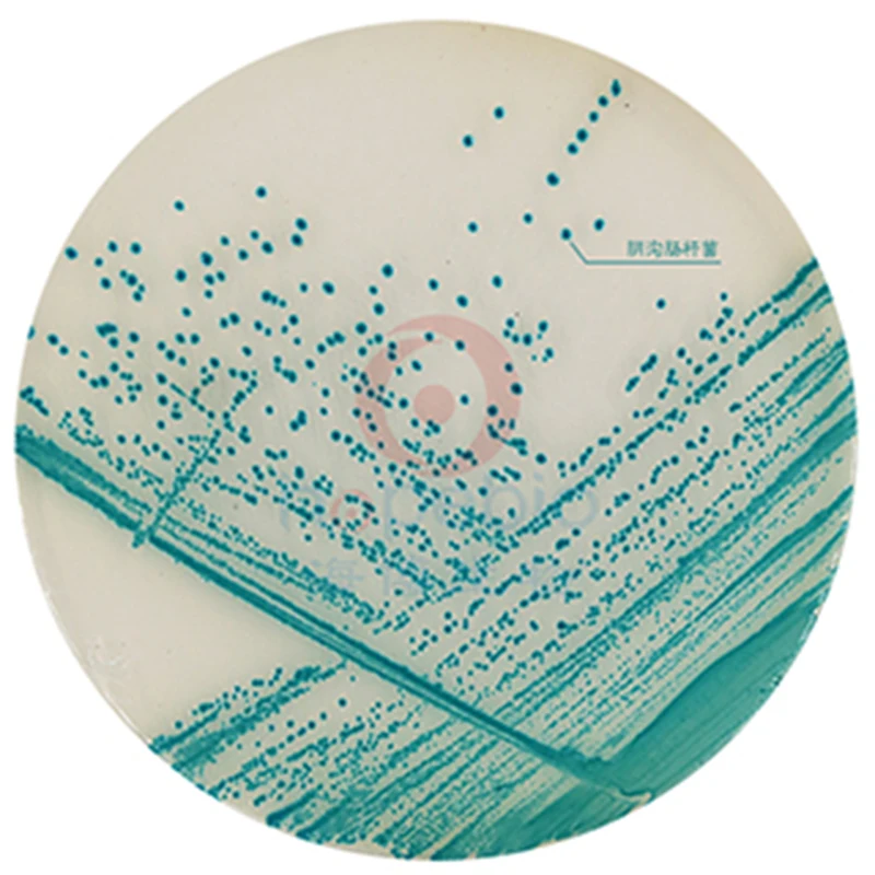 1000 мл Coliform хромогенная среда