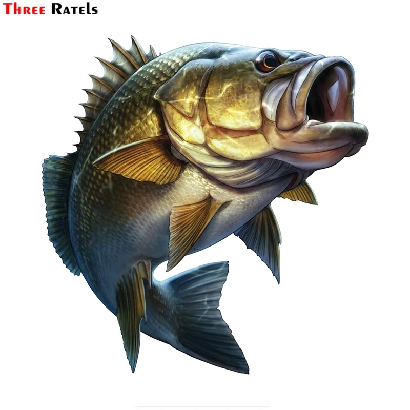 1-1_副本_副本_副本_副本