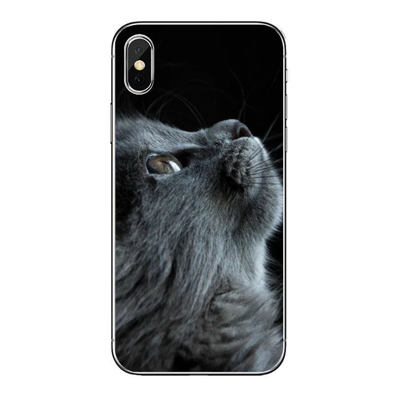 xiaomi leather case chain Soft Case For Xiaomi Redmi Note 8 7 6 5A 4 Pro Redmi 7 7A K20 6 6A 5A 4A 4X 5 Plus S2  Cute kitten cat Silicone Cover phone cases for xiaomi Cases For Xiaomi