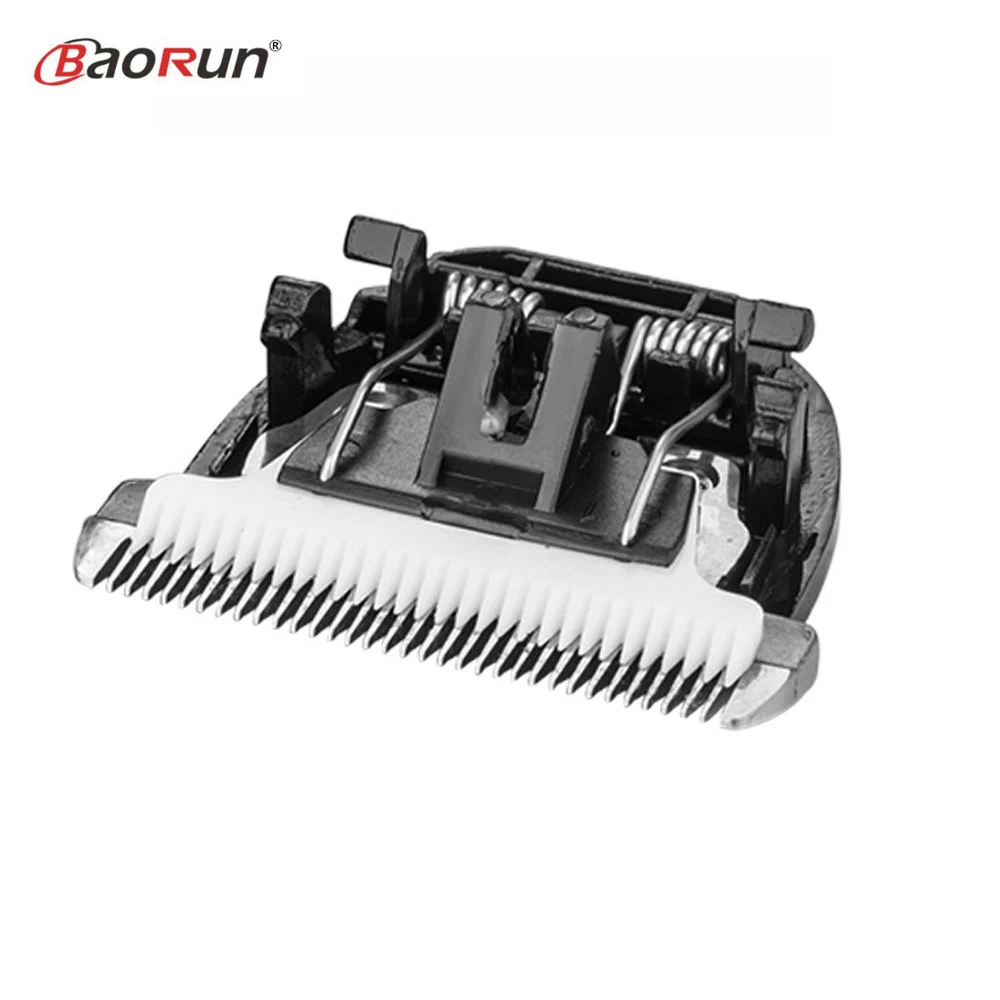 B-BaoRun (1)