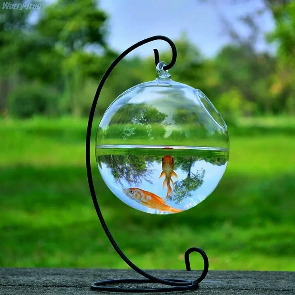 Glassfish Bowl Hentai