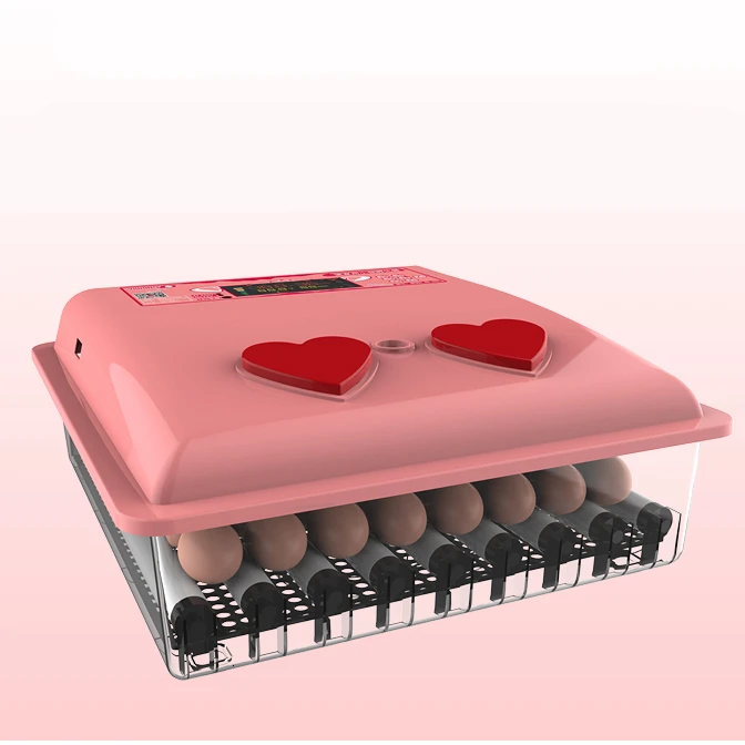 

Incubator Small Incubator Household Type Incubator Intelligent Chicken Duck Goose Pigeon Hatching Box Hatching Machine